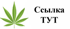 Купить наркотики в Павловске